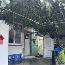 괘내함지박 이미지