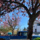 카페 216 st 이미지