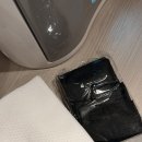 캐리온 | 일산임산부왁싱 캐리랩 , 브라질리언왁싱 받고 온 후기