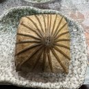 충남 태안 맛집 | 내돈내산 산장가든 솔직 후기 (메뉴/가격/맛)