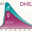 DHEA 먹으면 회춘? 이미지