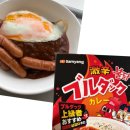 산카레 | 일본에서 산 불닭카레 후기