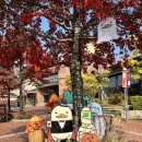 여주프리미엄아울렛 이미지