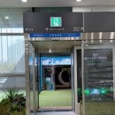 금성수족관 | 서울시립과학관 어린이박물관 무료 전시 8세 방문 후기