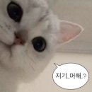 사과밭스테이