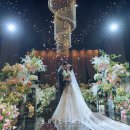 브리앙뜨 이미지