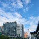 지에스엘 | 에스바디 효소 디톡스 다이어트 지에스엘 매일만나 후기