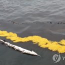 울산해양경찰서 화장실 이미지