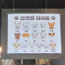 선셋커피 - 중구 용유서로 161 | [영종] 사람 좋아하는 유기견들의 쉼터 을왕리 선셋커피 주말 내돈내산 방문 후기