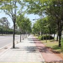 술바위교차로 이미지