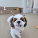 취향저견 이미지