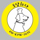 도담하다 이미지