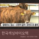 백우목장 이미지