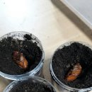 용화농장 이미지