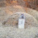 왕순례묘 이미지