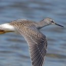 부천부흥중 이미지