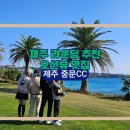 중문그랜드당구클럽 | [제주도골프] 제주 중문CC 가족 라운딩 후기 : 골린이가 반한 제주 바다 오션뷰 맛집