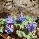 천마산농장 이미지