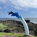 최남단해안로 이미지