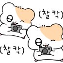 커피숍부르스