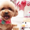 재영동물병원 이미지