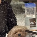 반딧불 가족농원 | 🐾 반려견 동반 OK! 동두천 계곡 맛집 ‘반딧불농원’ 다녀왔어요