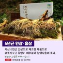 플러스인삼 이미지