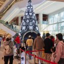 스타뽑기샵 이미지