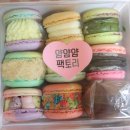 얌얌얌팩토리