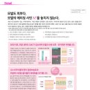 시저리 이미지