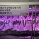팔공산풍천장어 | [장어의 힘] 대구 팔공산 풍천 장어 맛집, 주차장 정보 및 가격대