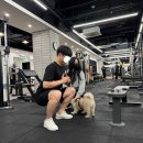 단풍나무짐 이미지