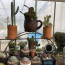 한샘농장 이미지