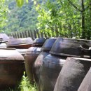 도심다원 이미지