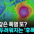 '돌핀' 중국 상륙, 끝 아니다...벌써 두려워지는 시나리오 [Y녹취록] / YTN 이미지