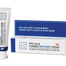 더 리커버리 이미지