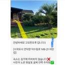 그리니제주 | 감귤나무가 매력적인 제주도감성숙소 그리니제주 ‘고요한오후’ 추천