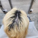 장원약품 이미지