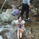 보광리 Daum카페