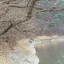 골든펜션 이미지