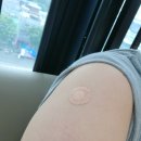 박성균소아청소년과의원 이미지