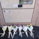 남양주혜성병원장례식장 이미지
