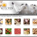 289-2-000184 | 서산 닭키우는회장님농장 황토밭마늘이 정말 실하고 맛이 좋아요.