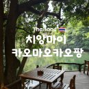 오가닉셀(주) | 치앙마이 자유여행 맛집 카오마오카오팡 솔직 후기