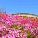 광성보주차장 이미지