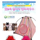 하우스독 이미지