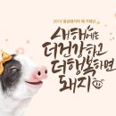 살롱코이 이미지