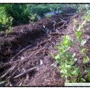 박종상농장 이미지