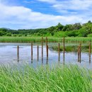 순포습지 이미지