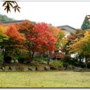 가없이좋은곳(주내자육원) 이미지